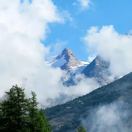 Bergrose Appartement-fewo 5-bettwohnung Nr- 2 By Interhome Saas-Fee